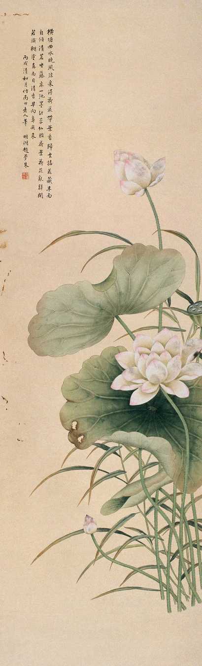 赵梦朱 荷花 立轴